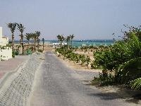 ����� ���