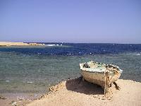 ���� ��� ����