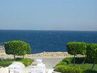 ��� �� ����