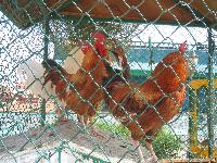 ������ ��� �������:-)...