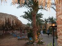 ��������� ���� ������