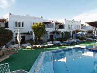 ����� ����� �������