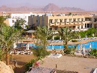 ���� �����