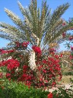 ��������������