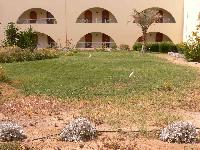 ������ �������