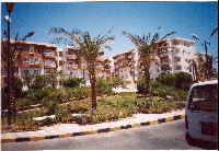 ��� ����