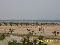 �� �������