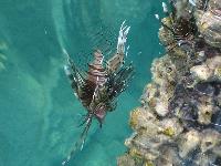 �� ������! �����