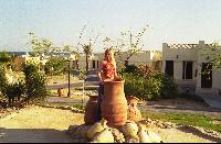 ����� ���