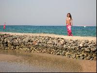 ���� Desert Rose