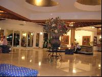 ������� Desert Rose