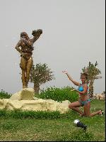 �������� ��� Desert Rose