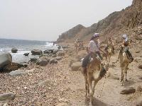 ��������� � ��� �����