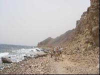 ��������� � ��� �����