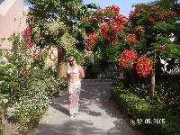 Iberotel Saraya Suites