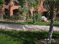 Iberotel Saraya Suites