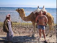 ���� ��������� "��������"