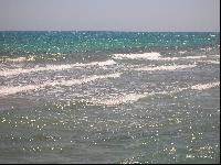 ������� ����