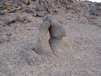 ����������� ���� ������