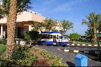 ������� �� Albatros Resort (2 ����� � 1 ��� � ���)