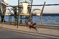 ��� �� ����� ���������-�����