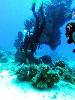 ����-���