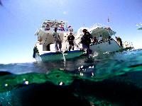 ���� � ��������� ���