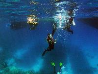 ����������