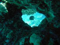 ��������� ���������