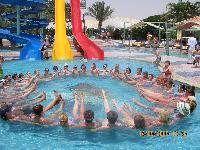 ������ �������� � ������� ���