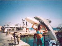 �������