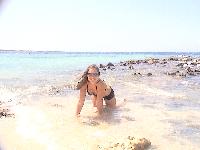 ��� - �������