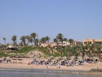 ���� �����