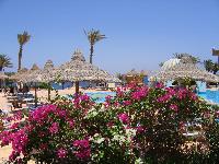 ����� �������