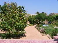 ���������� �����