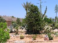 ���������� �����