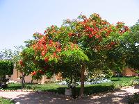 ���������� �����