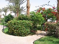 �������� ��� �������� �������������� :)