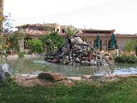 ����� ������� ����������