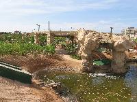 � ��� ���������������� ����������