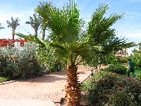 ��� ������� ������ :)