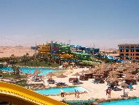 ���� ���� �������