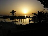 ������� � ��������