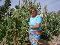 ������ � ���������� ���������