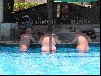 ��� � ��������