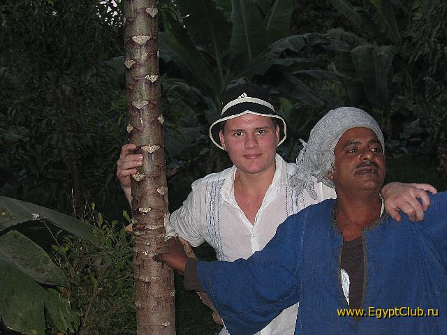 ������ ������