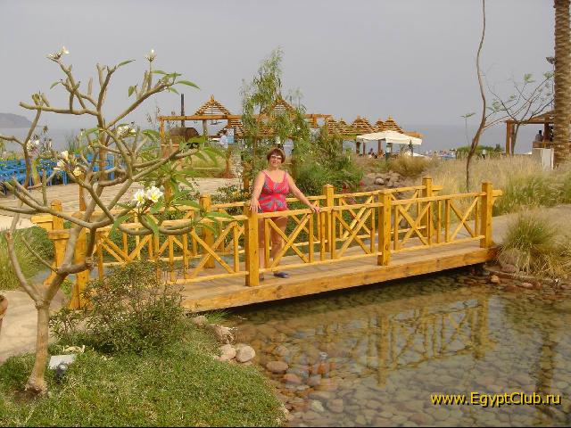 �� ���� �� ����