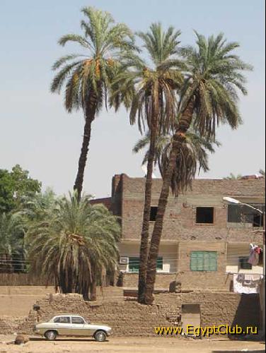 ������ ��������