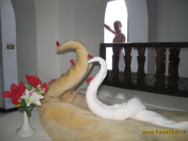 ��������.