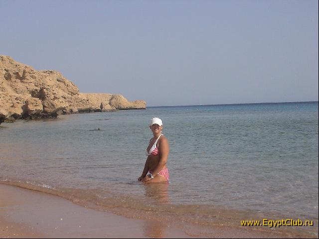 ���� ��������